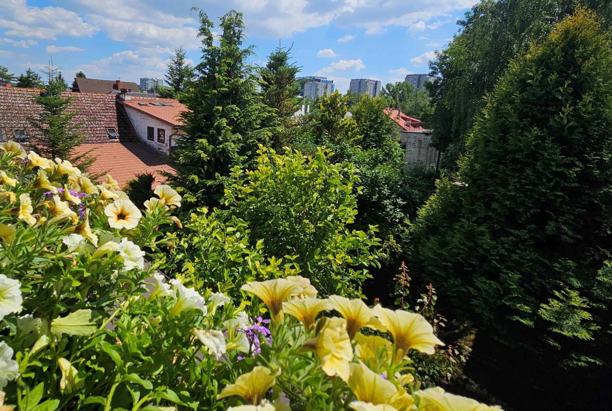 Park Apartment Krakow Luaran gambar