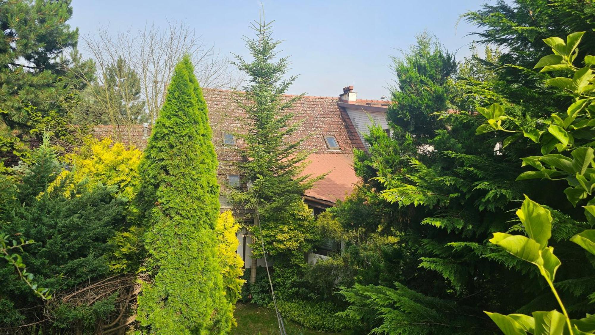 Park Apartment Krakow Luaran gambar